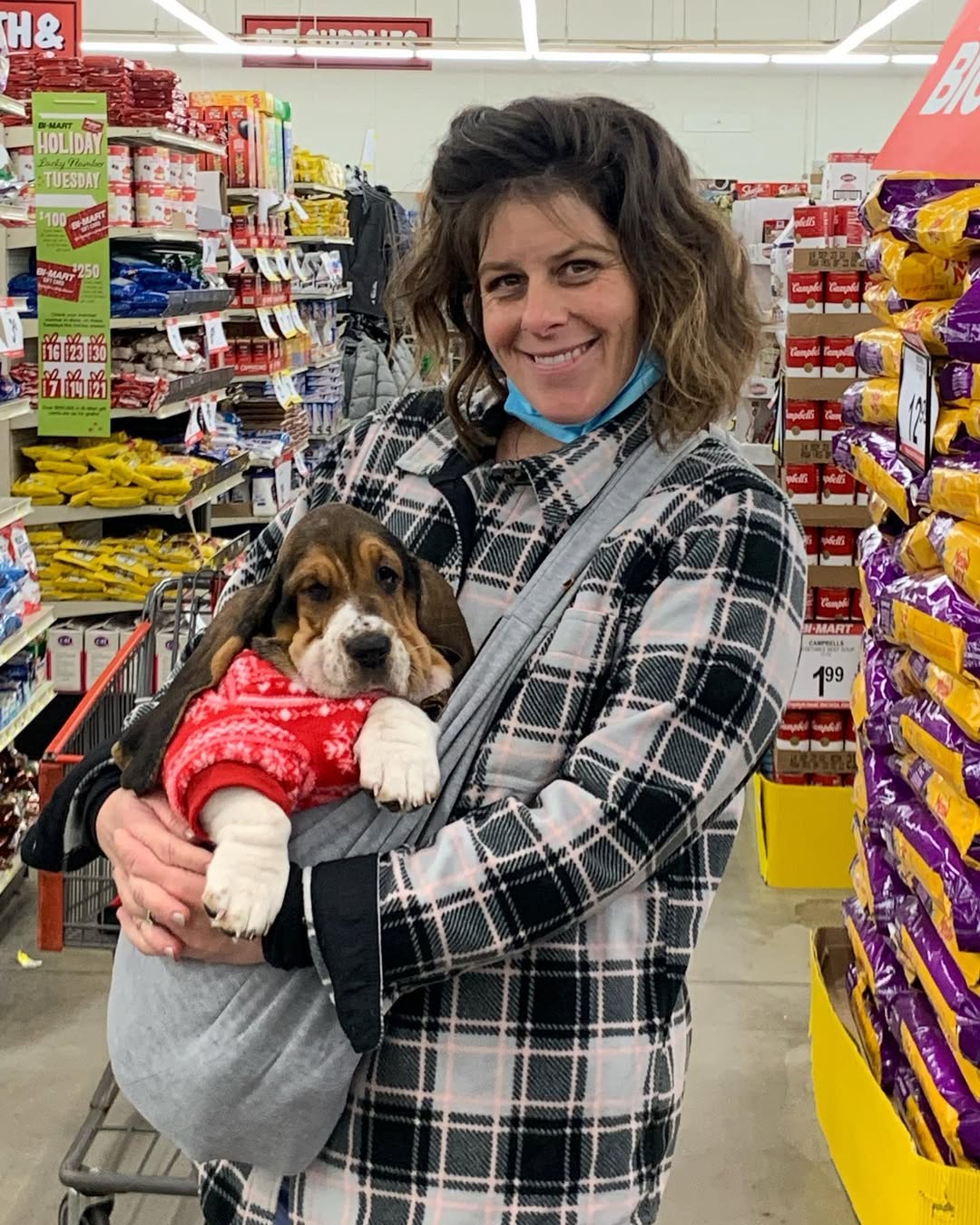 Person holding a young Basset Hound